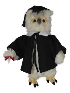 Graduation Gift - Owl