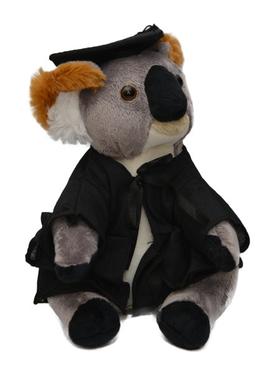 Graduation Gift - Koala